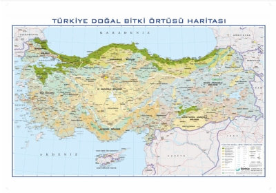 Türkiye Bitki Örtüsü Haritası 70x100cm